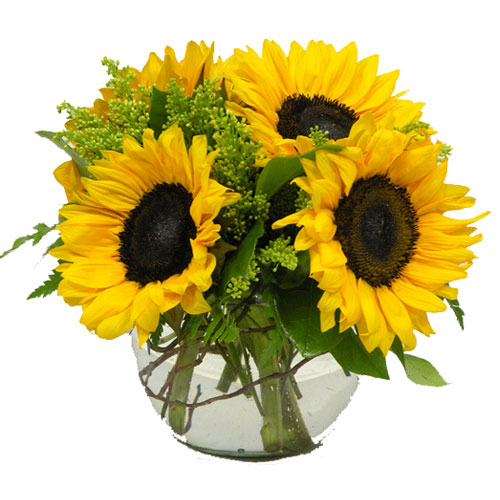 Sunny Sunflower Bowl